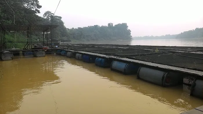 River View Homestay Picture 2