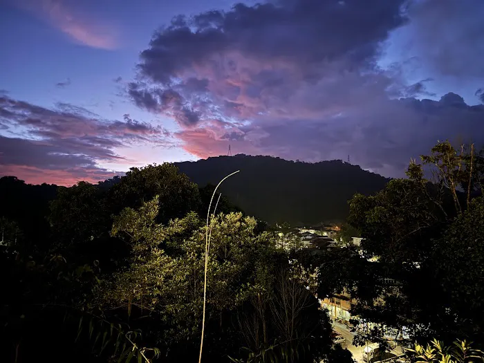 Gold Crest Cameron Highlands Picture 7
