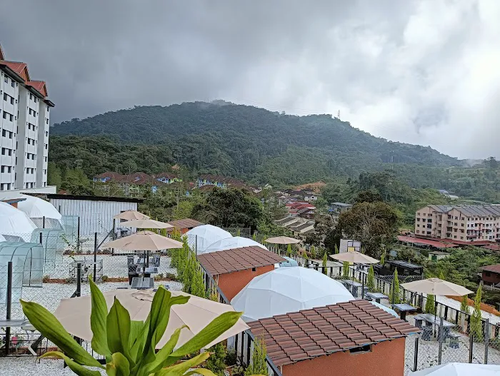 Gold Crest Cameron Highlands Picture 6