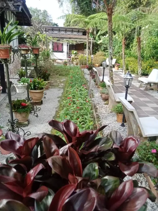 THE HIGHLANDS VILLA Picture 6