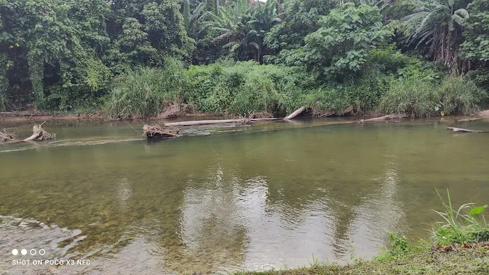Buyong Mas Sanctuary Campsite Picture 5