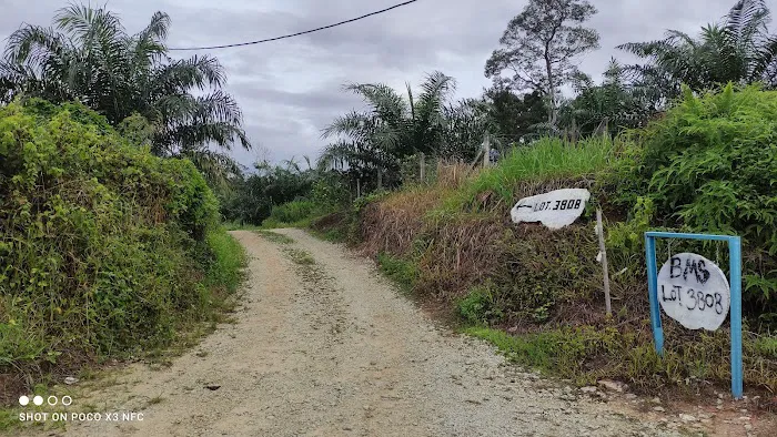 Buyong Mas Sanctuary Campsite Picture 8