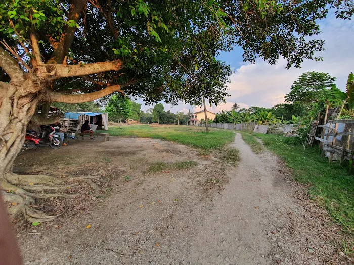 Kebun Shukri Picture 2