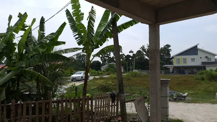 Kebun Shukri Picture 4