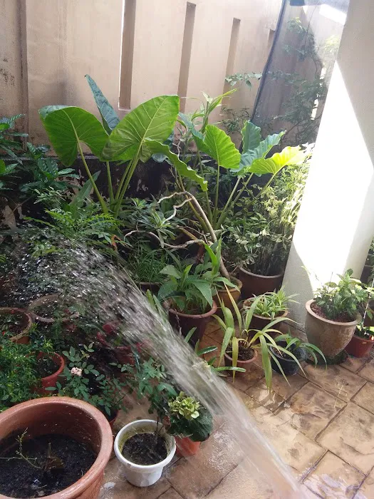 Nazzie Homestay Picture 4