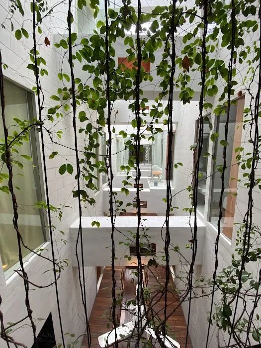 Lantern Hotel Picture 6