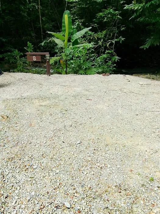 Betong Riverside Campsite Picture 9