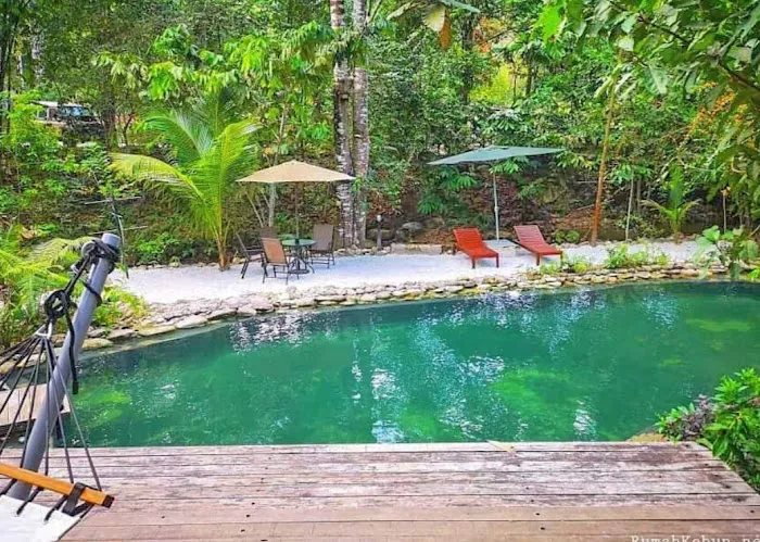 Rumah Kebun Residence Picture 7