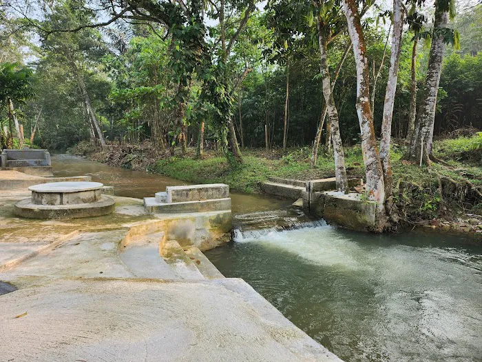 1858 Semungkis Picture 4