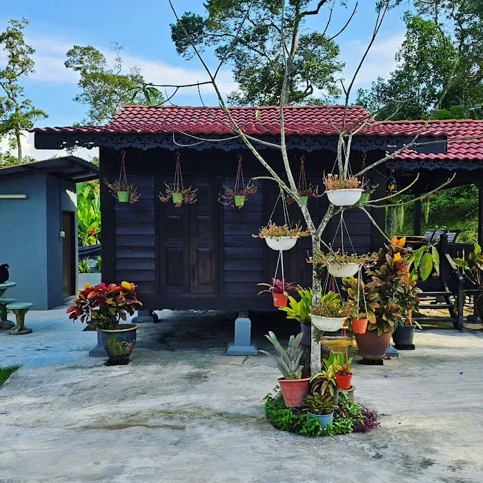1858 Semungkis Picture 10