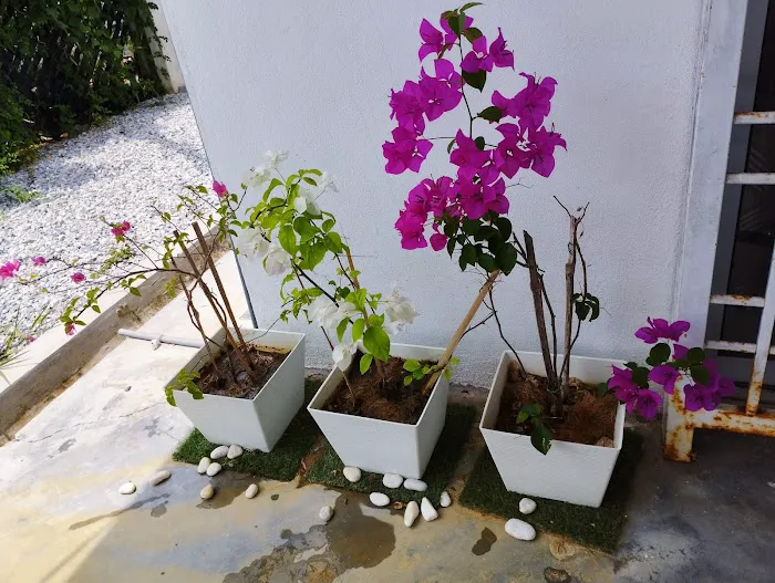 Homestay Cantik KakYut Taman Orked Picture 4