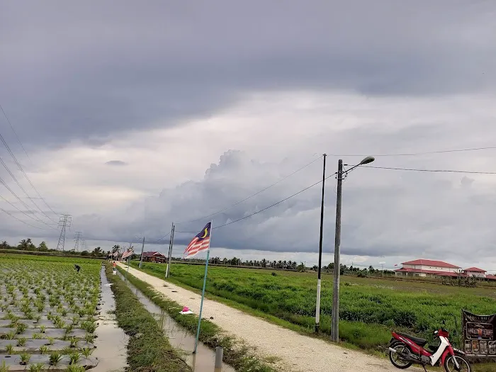 Rumah Sawah Picture 4