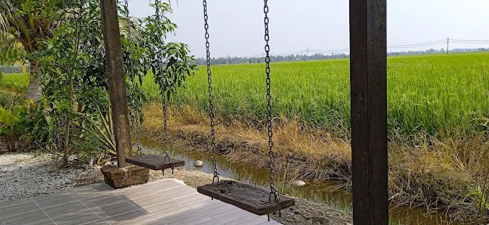 Rumah Sawah Picture 2