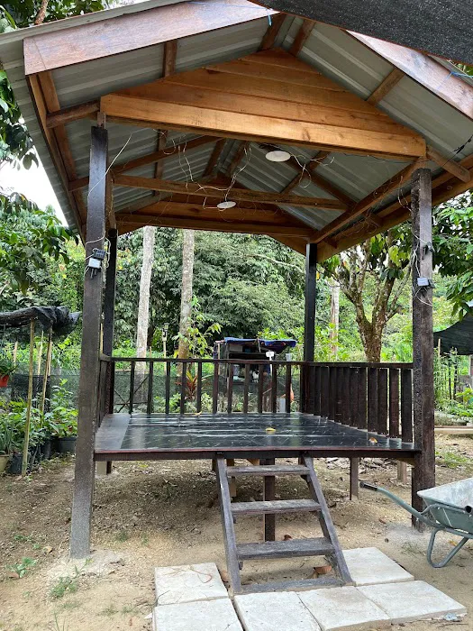 Aryan Temerloh Homestay Picture 4