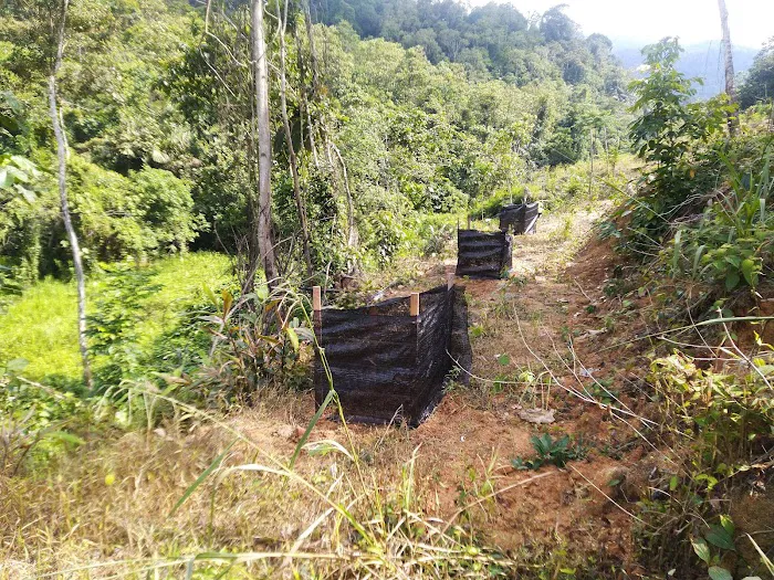 Teratak D`Gachong Picture 6