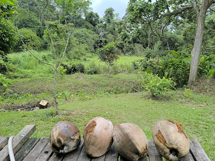 Teratak D`Gachong Picture 10