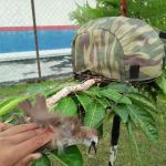 De Nieza Homestay