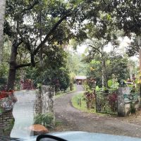 Green Season Cottage ico