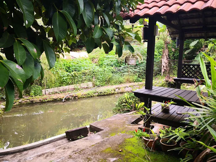 Green Season Cottage Picture 4