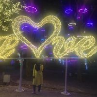 Aurora Suite @ I-City Theme Park ico