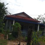 Kg Gual Tualang