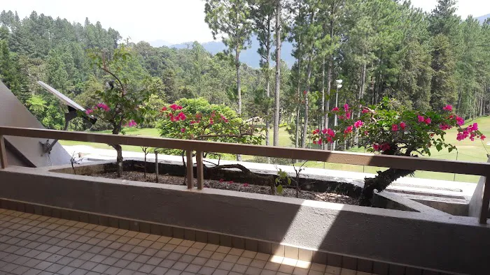 Awana Condominium Picture 9