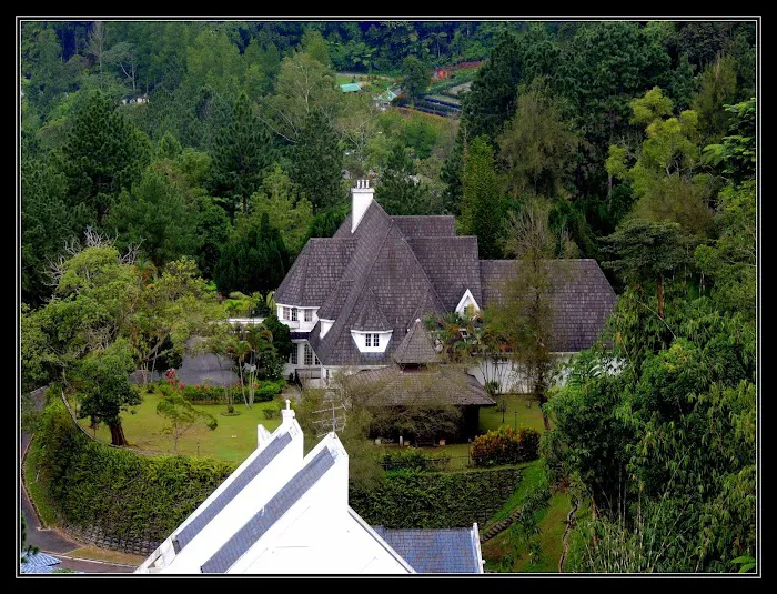 Puncak Dani Bungalow Picture 7