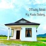 D'Paddy Molek Inn