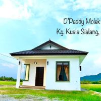 D'Paddy Molek Inn ico