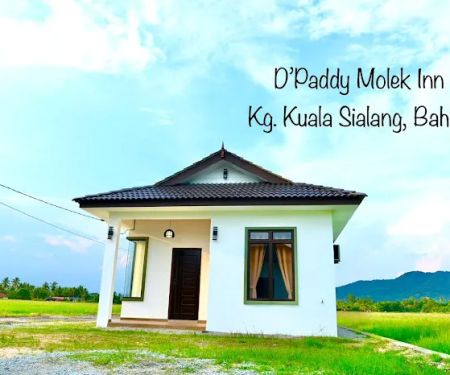 D'Paddy Molek Inn