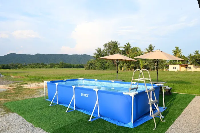 D'Paddy Molek Inn Picture 2
