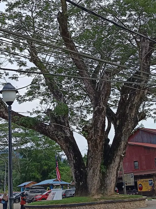 Sungai lembing Picture 6