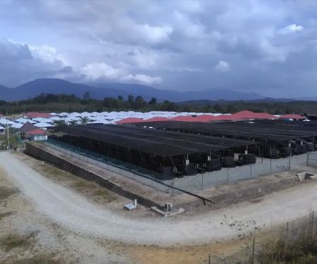 Rimbunan Kaseh Rembau
