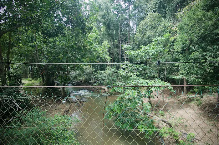 Jeram Gading Resort Picture 9
