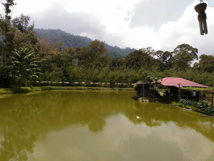 The Tuan Tanah Picture 2