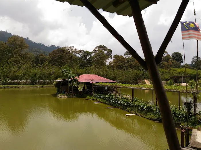 The Tuan Tanah Picture 1