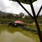 The Tuan Tanah