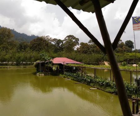 The Tuan Tanah