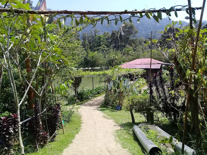 The Tuan Tanah Picture 5