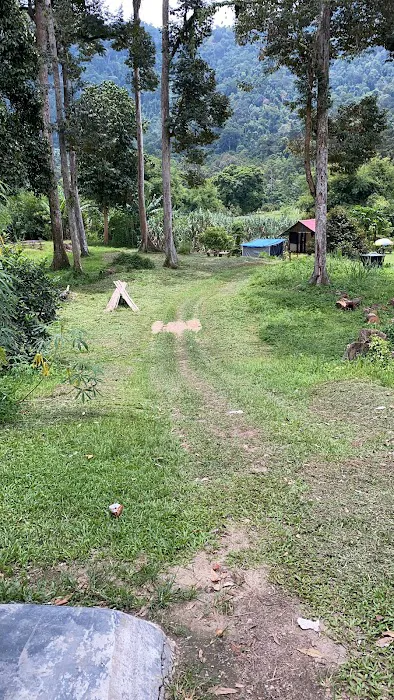 UNGGEY CAMPSITE N CAFE Picture 1