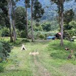 UNGGEY CAMPSITE N CAFE