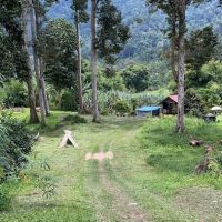 UNGGEY CAMPSITE N CAFE ico