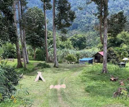 UNGGEY CAMPSITE N CAFE