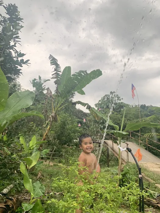 QasehMiza Durian Farm Picture 3