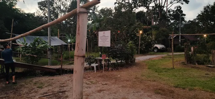 QasehMiza Durian Farm Picture 8