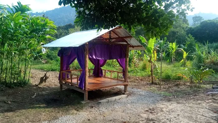 QasehMiza Durian Farm Picture 1