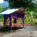 QasehMiza Durian Farm