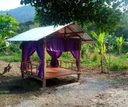 QasehMiza Durian Farm