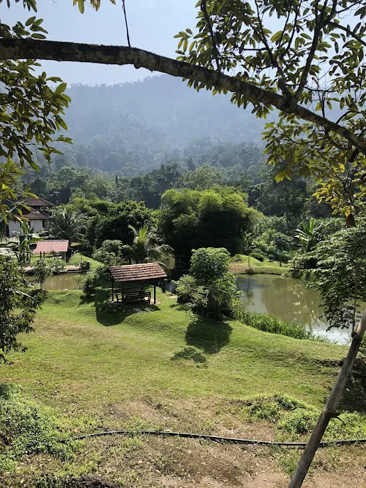 Chalin River Retreat Picture 9