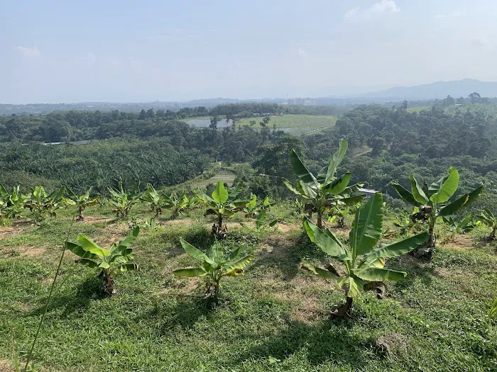 Zen Eco Farm Picture 9